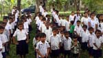 Students listening tips from doctors on dental care