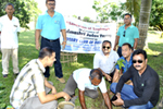 Plantation of Saplings